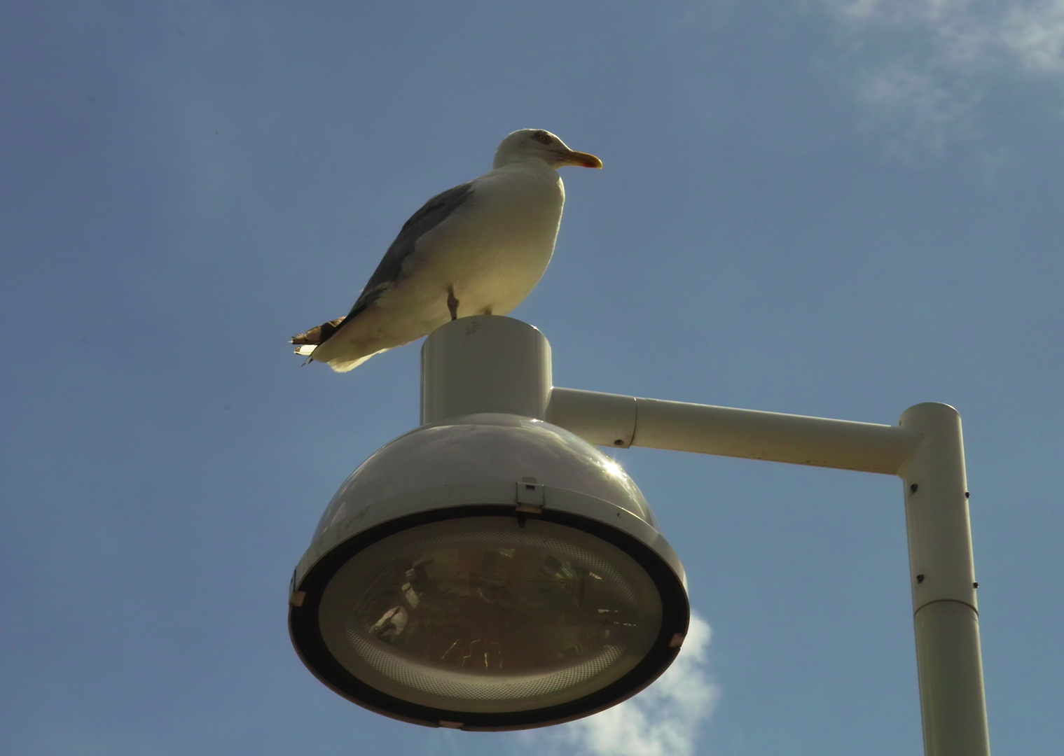 Was jetzt Licht an oder aus?