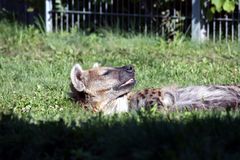 was ? jetzt schon aufstehen, nur weil Besucher kommen ?