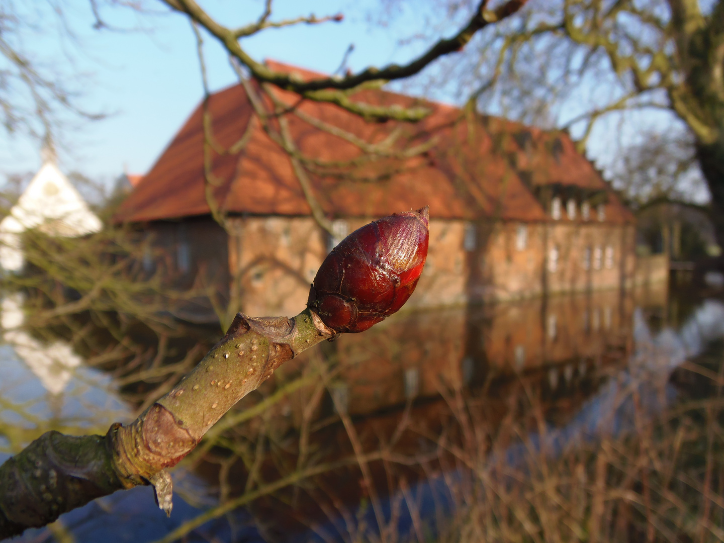 Was kann schöner sein als die Natur :-)