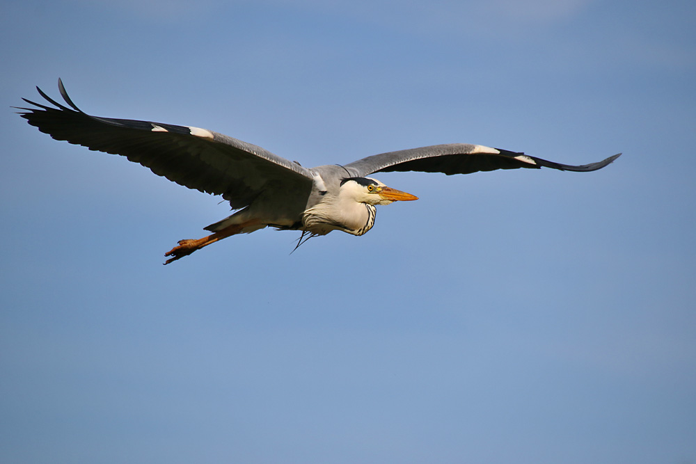 was kann schöner sein als fliegen....?