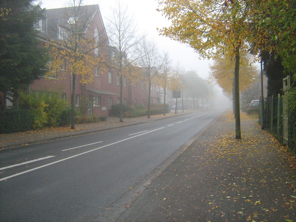 was Kann schon Schönersein