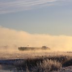 Was kommt denn da aus dem Nebel heraus?