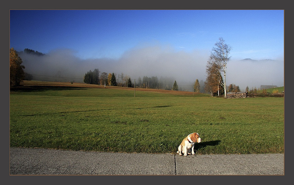 was kommt denn noch....?????