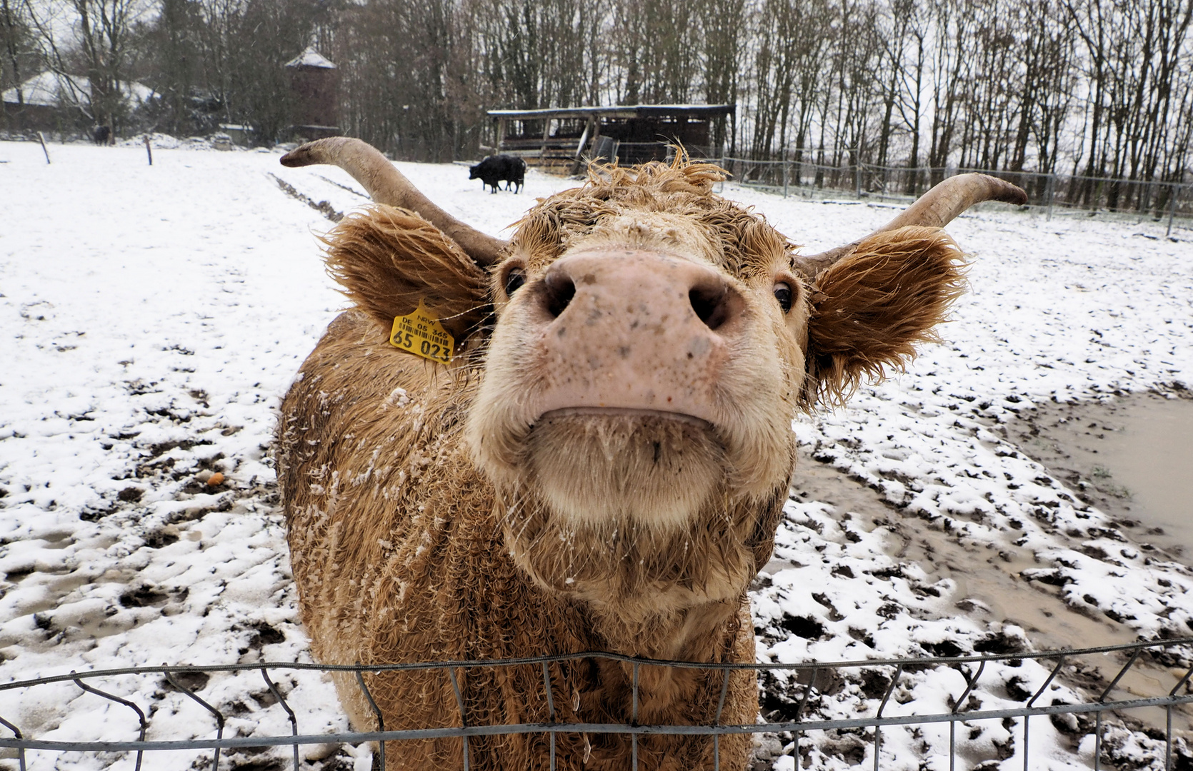 Was leckeres geht bei jedem Wetter ... 