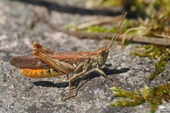 Was leuchtet hier so orange rot?