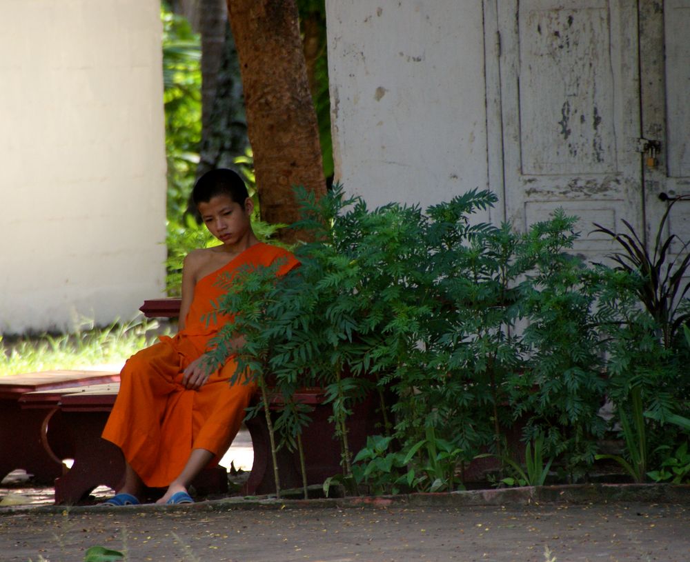 was machen die grad zuhause ?   luang prabang, laos 2010