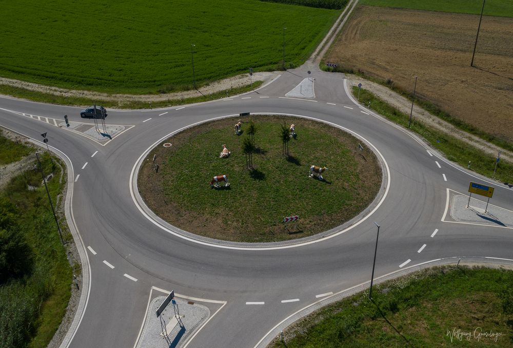 Was machen Kühe im Kreisverkehr!