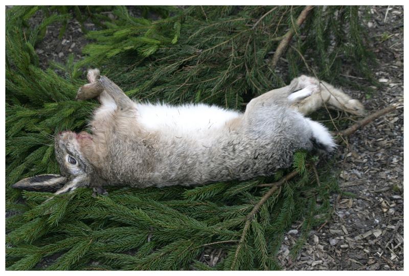 Was Machen Wir Jetzt Zu Ostern Foto Bild Sonstiges - 