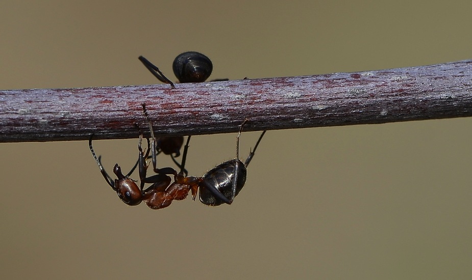 …was machst Du da unten?