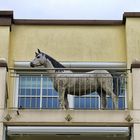 Was macht das Pferd auf dem Balkon