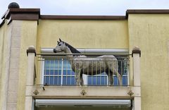 Was macht das Pferd auf dem Balkon