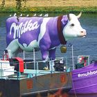 Was macht denn die lila Kuh auf der Elbe?