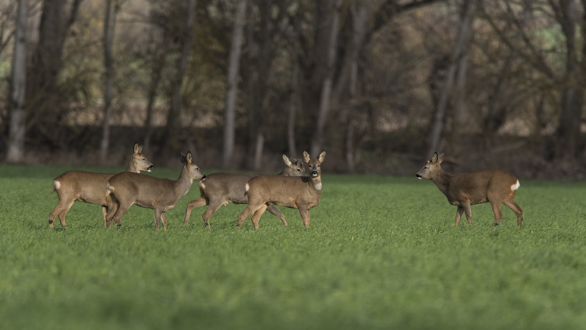 Was macht der da ? Foto & Bild fotos, natur, herbst Bilder auf