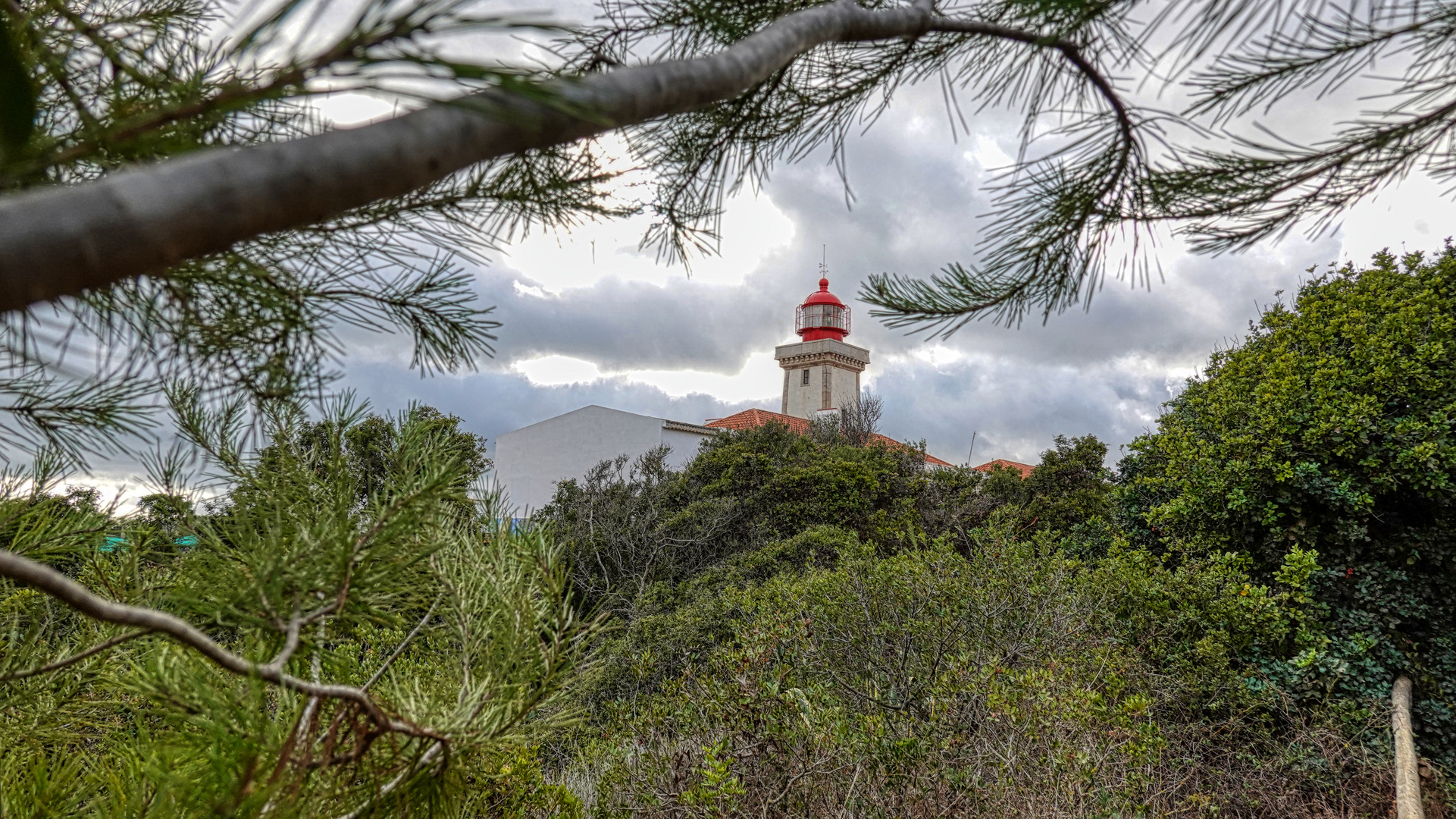 Was macht der Leuchturm im Wald?