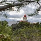 Was macht der Leuchturm im Wald?