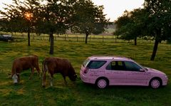 Was macht dieser komische Schweinestall...