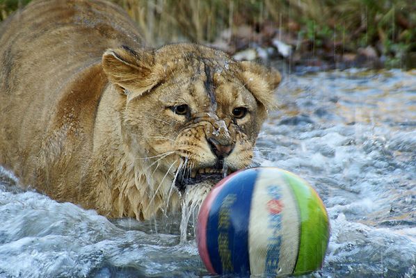 Was macht man nicht alles,...