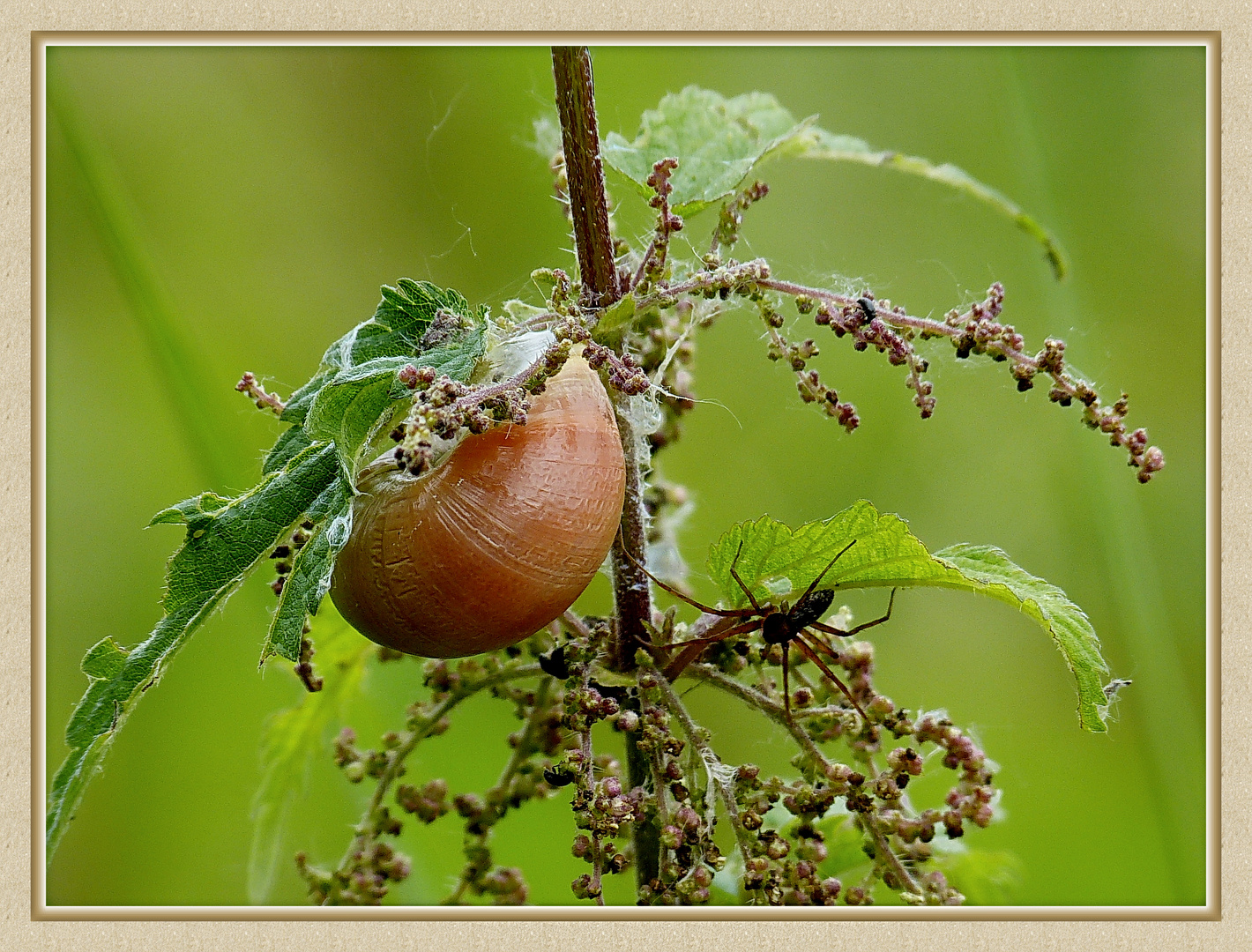 .Was man alles entdeckt in der Natur 