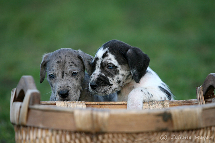 was meinste...links oder rechts?