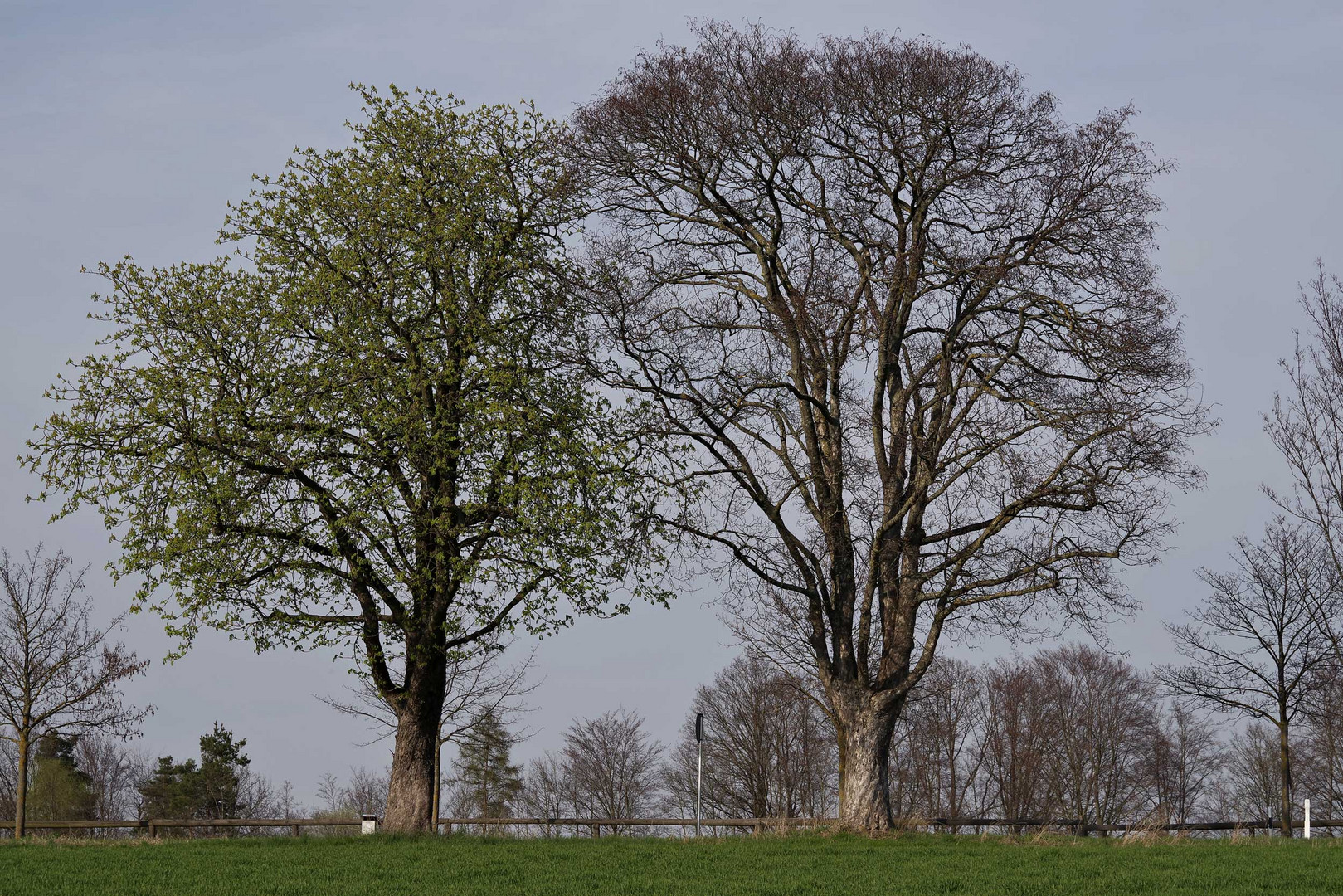 was nun - Frühling oder nicht....