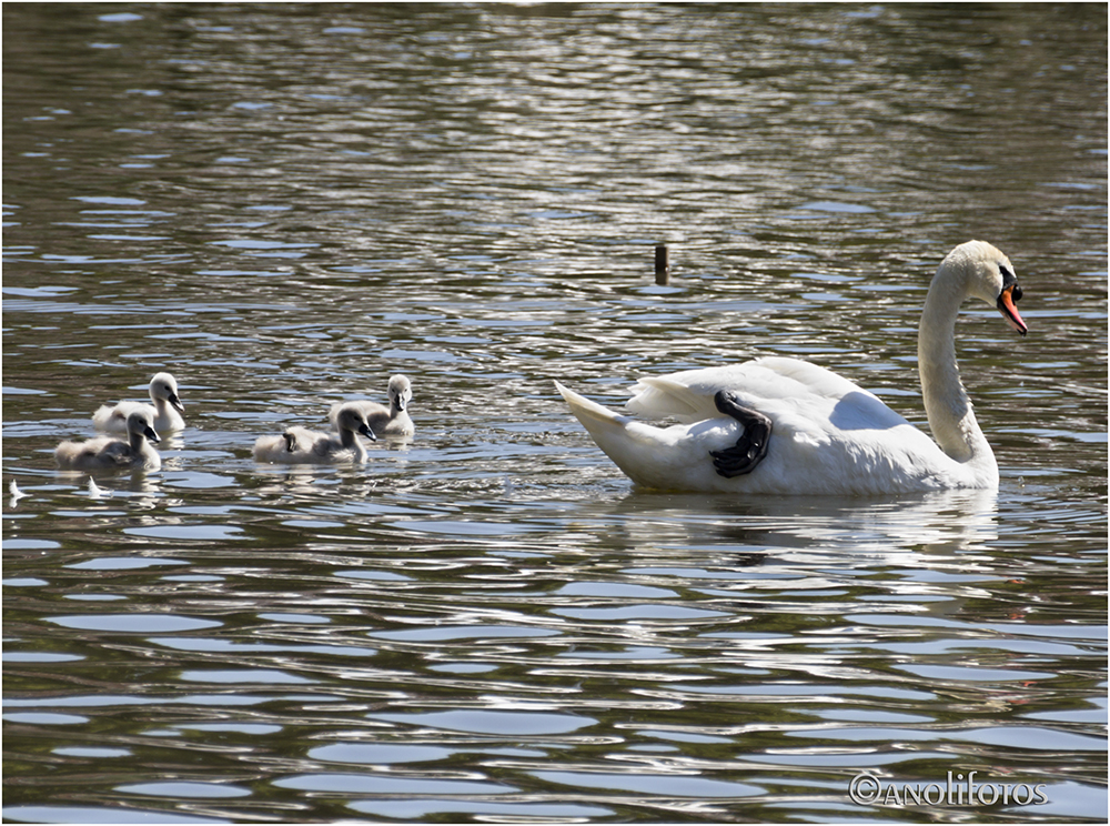 Was Papa kann, kann er auch. ;-))