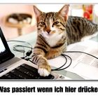 Was passiert?