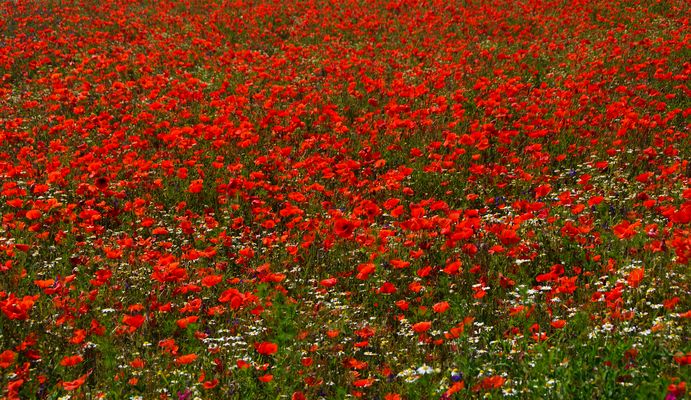 ... was positives buntes ...