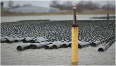 was schwimmt da im Hafen von Büsum?