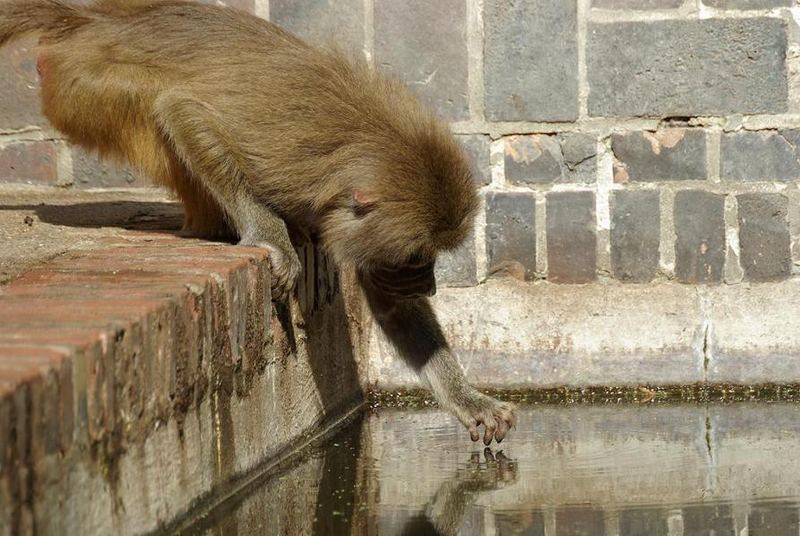 Was schwimmt denn da im Wasser