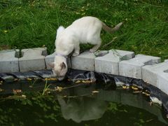 Was schwimt den da...