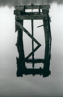 was sich alles im wasser spiegel :D