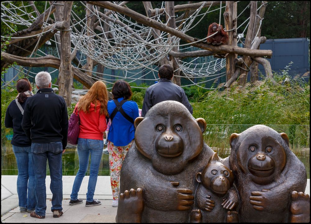 Was sich der Orang  Utan im Hintergrund sitzend wohl denkt ??? ;o))