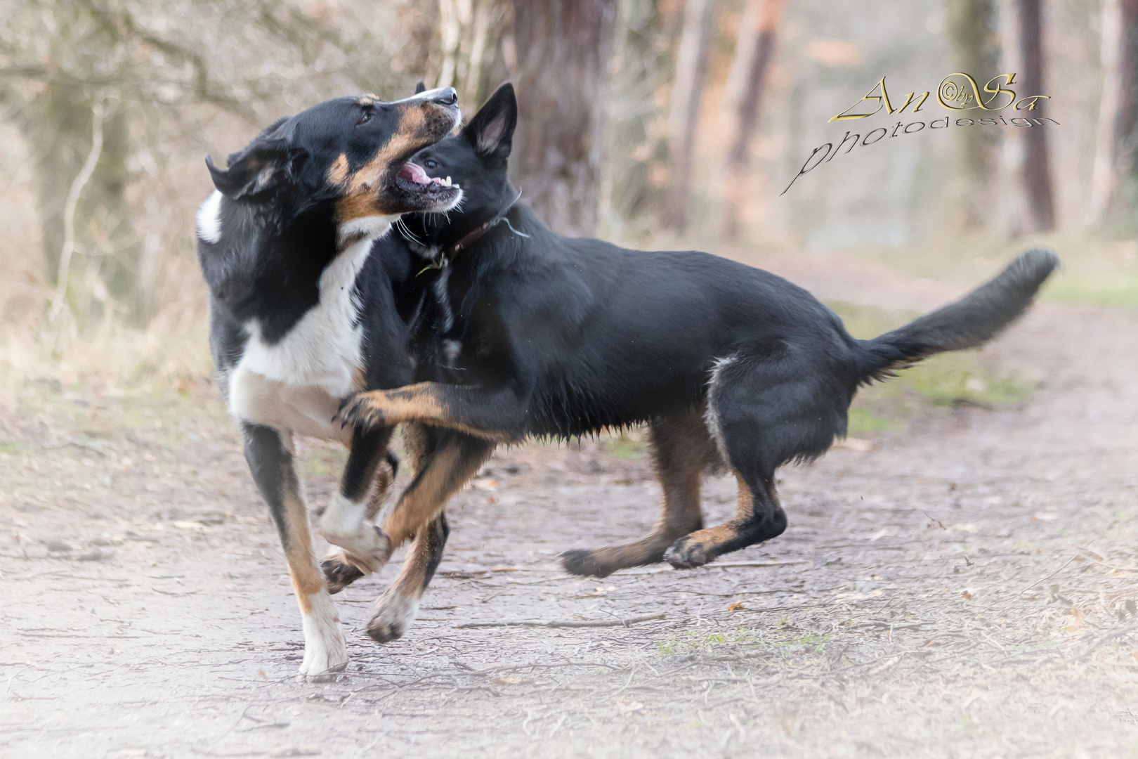 Was sich neckt.....