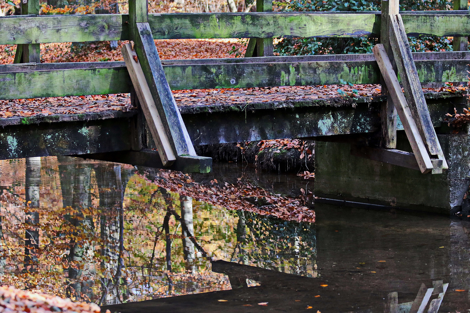 was sich so unter der Brücke abspielt