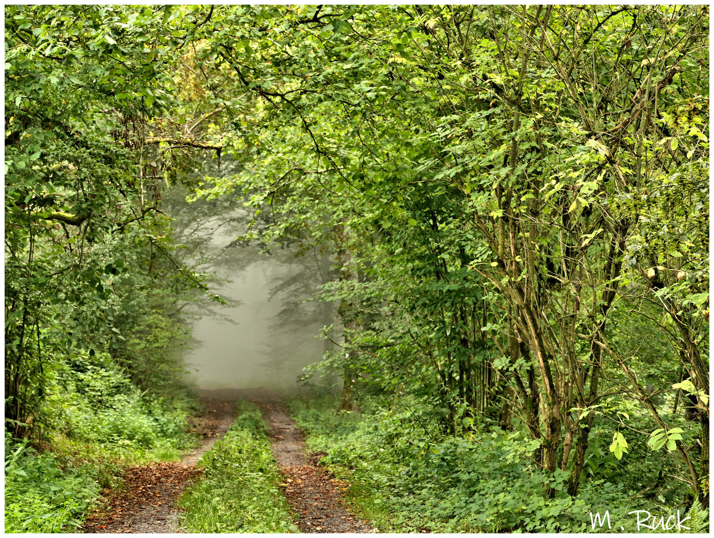 Was sich wohl hinter der Nebelwand verbirgt  ? 