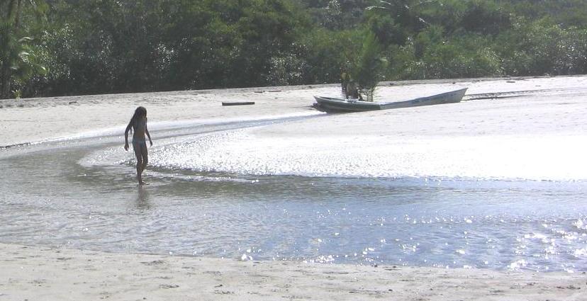 Was sie wohl sucht? - Manuel Antonio, Costa Rica