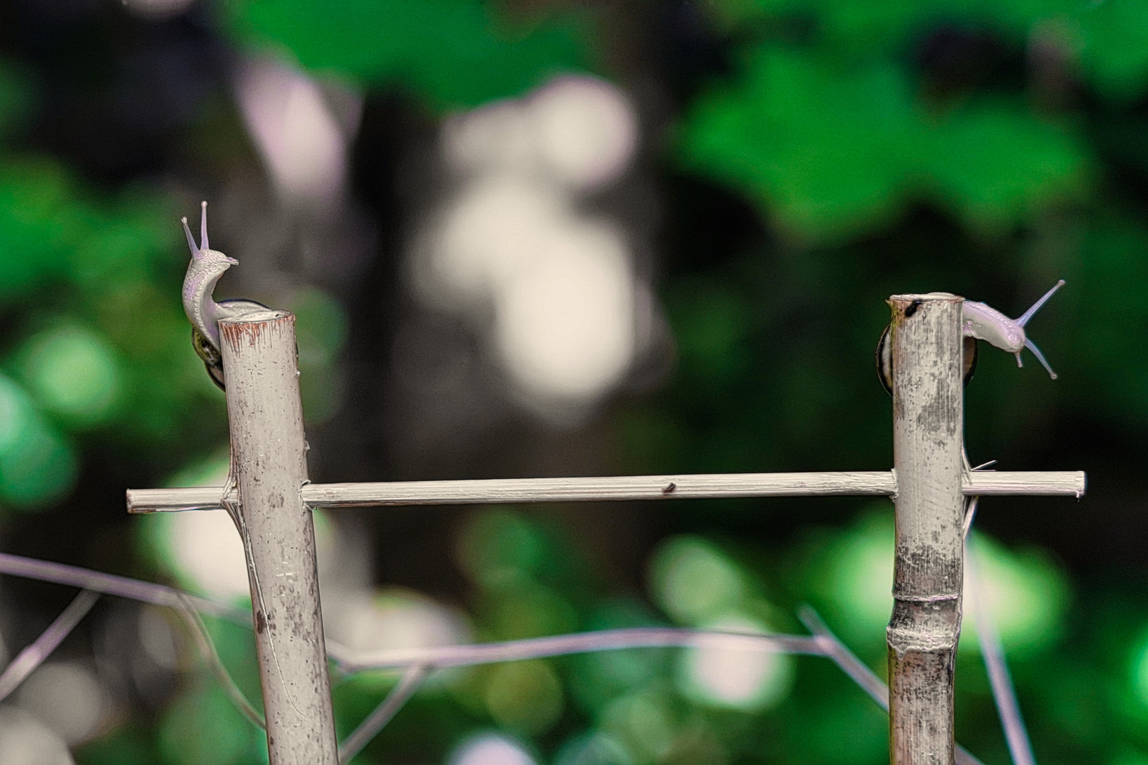 Was Siehst Du Foto Bild Natur Tiere Wildlife Bilder Auf was-siehst-du-foto-bild-natur-tiere-wildlife-bilder-auf