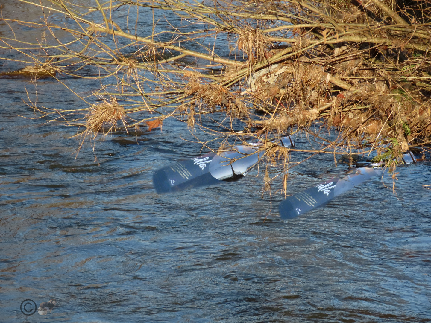 Was so alles im Wasser landet....