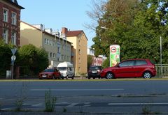 Was so schön gedeiht, erfreut das Gemüt