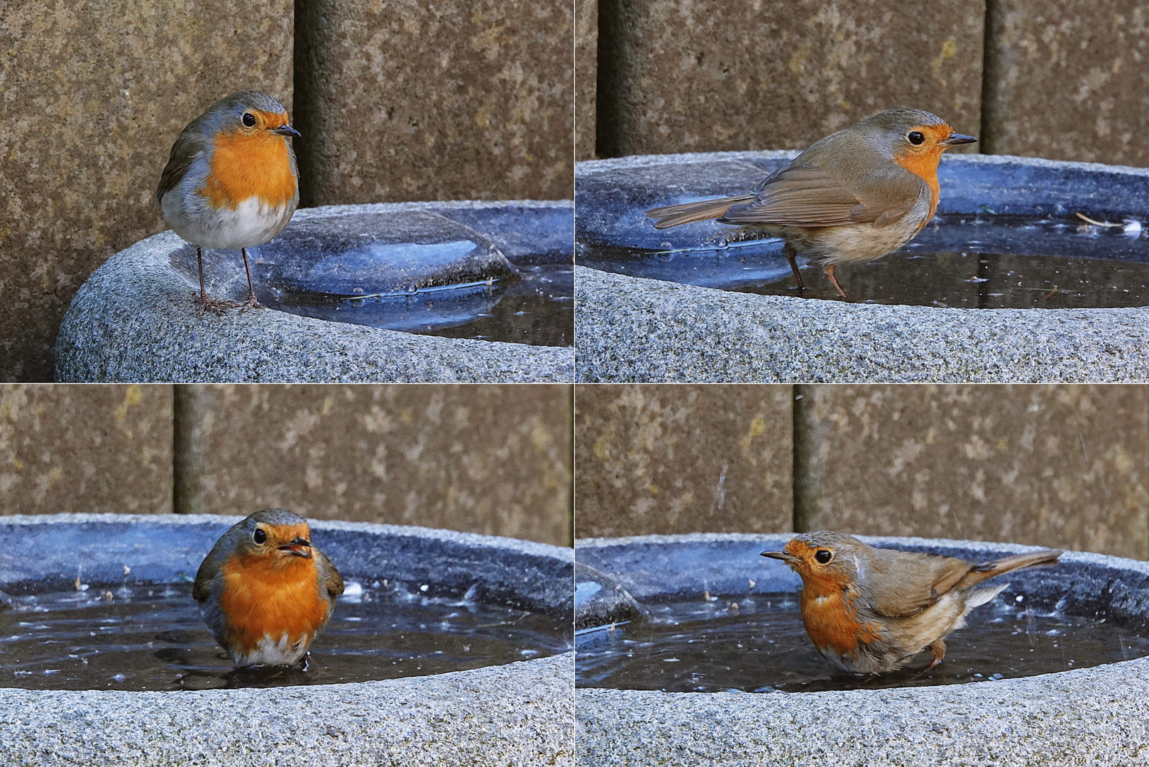 was soll man bei dem heißen Wetter sonst tun