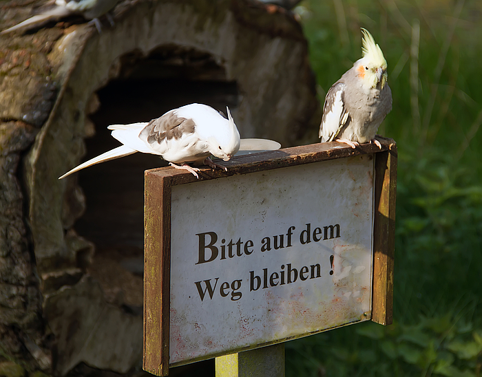 "Was steht denn da drauf gilt das etwa für uns"