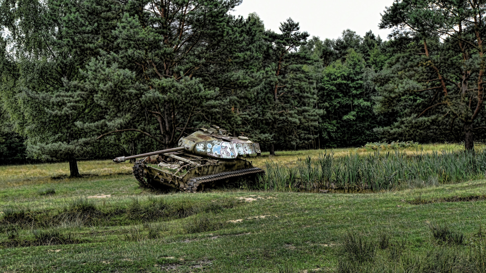 Was steht denn da im Wald?