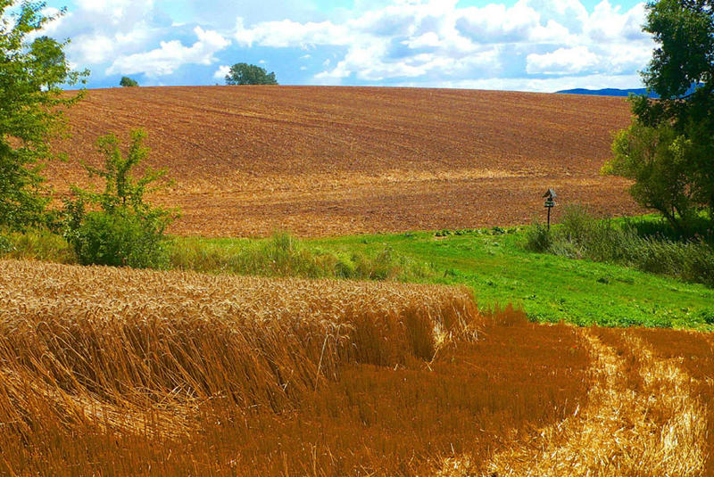 Was suchen Wir auf Erden und Himmel ? Das Paradies oder die Hölle ?