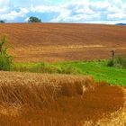 Was suchen Wir auf Erden und Himmel ? Das Paradies oder die Hölle ?