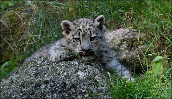 Was Süßes zwischendurch !!!