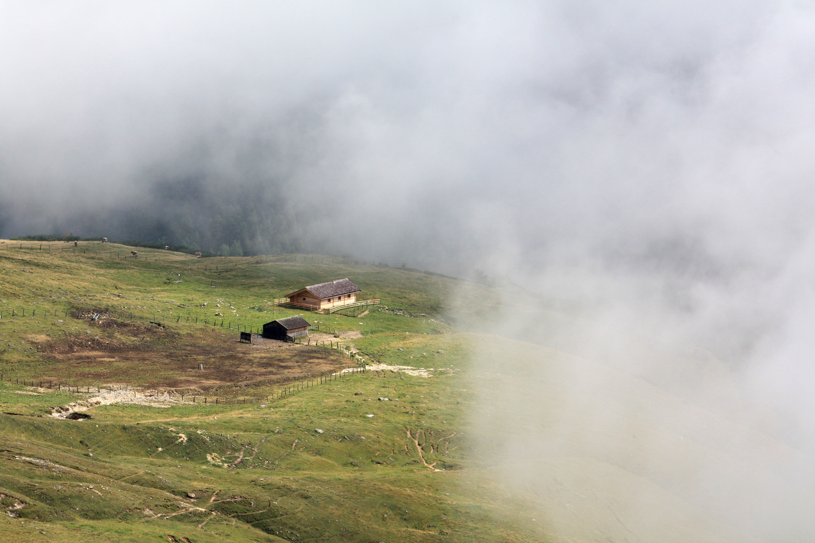 Was taucht denn da aus dem Nebel auf?