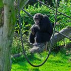 "Was treibe ich* eigentlich auf diesem Kinderspielplatz?"