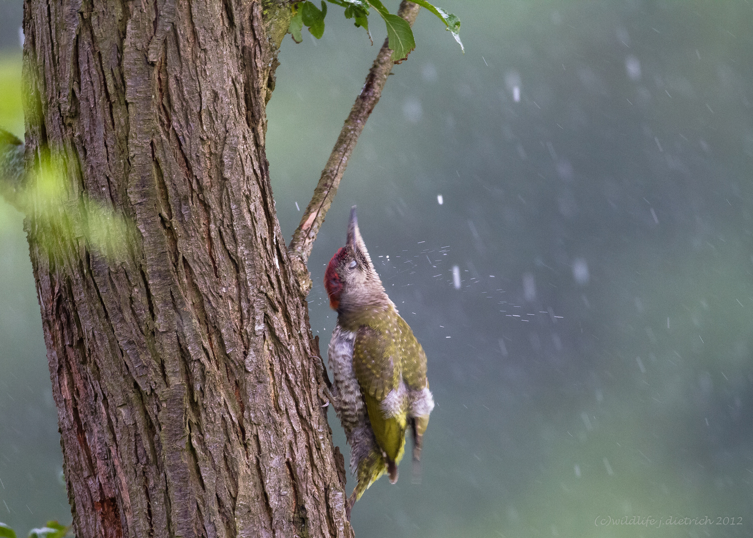 Was tun bei intensivem Regen ?