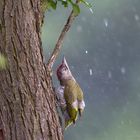 Was tun bei intensivem Regen ?