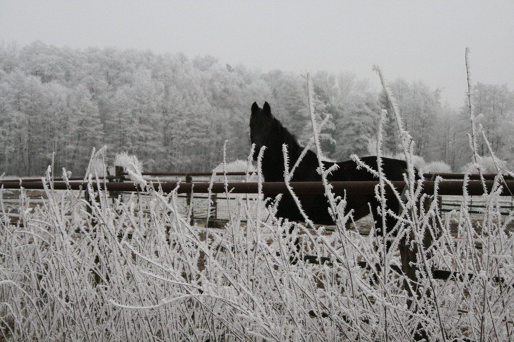 Was verschluckt der Winter denn da?